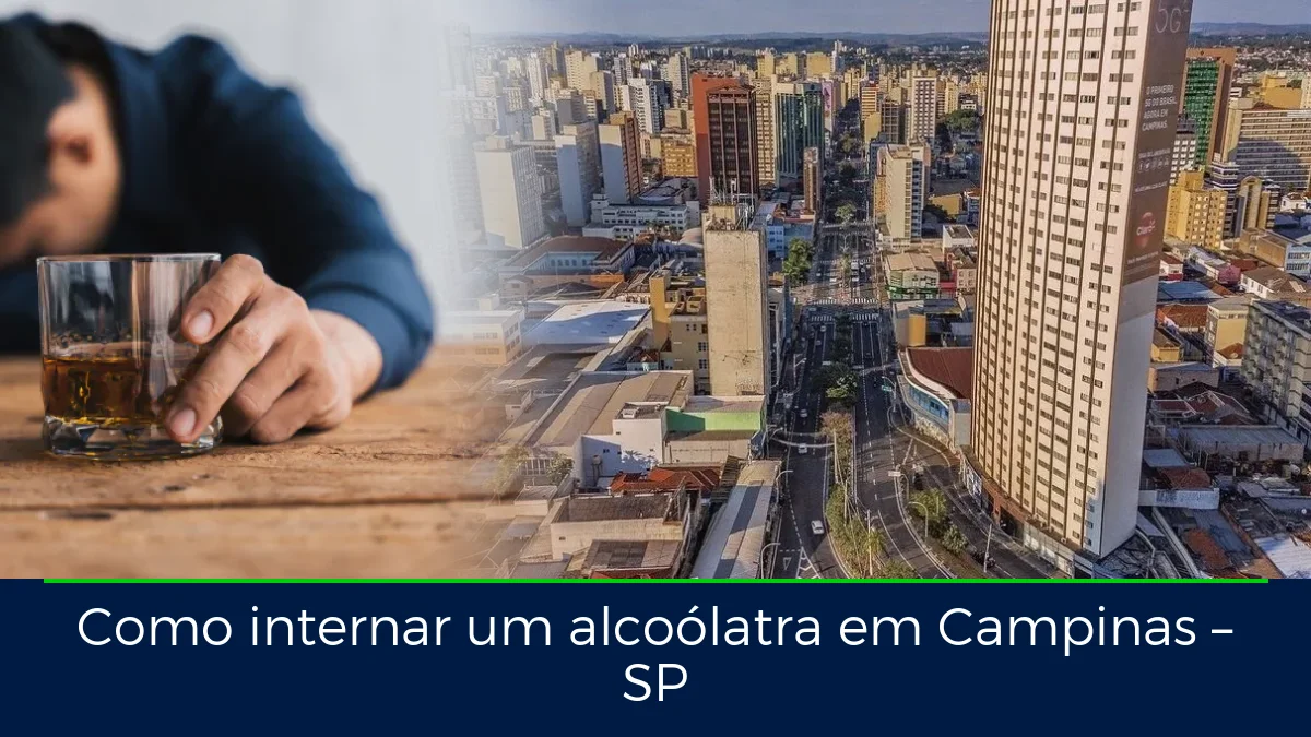 Montagem da imagem do artigo com Campinas, em Campinas – SP
