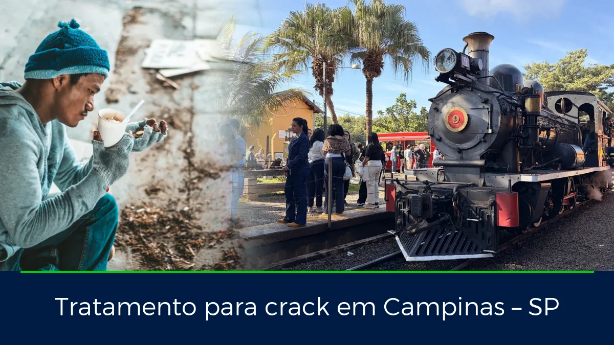 Montagem da imagem do artigo com Passeio de trem - Maria Fumaça Campinas, em Campinas – SP