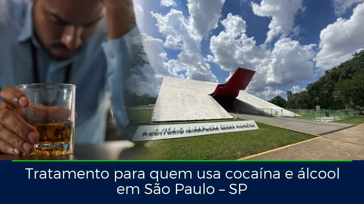 Montagem da imagem do artigo com Parque Ibirapuera, em São Paulo – SP