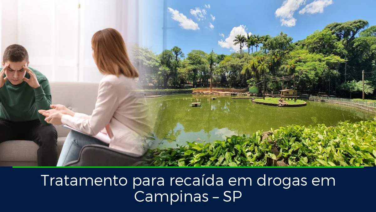 Montagem da imagem do artigo com Parque Bosque dos Jequitibás, em Campinas – SP