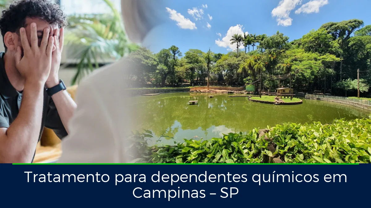 Montagem da imagem do artigo com Parque Bosque dos Jequitibás, em Campinas – SP