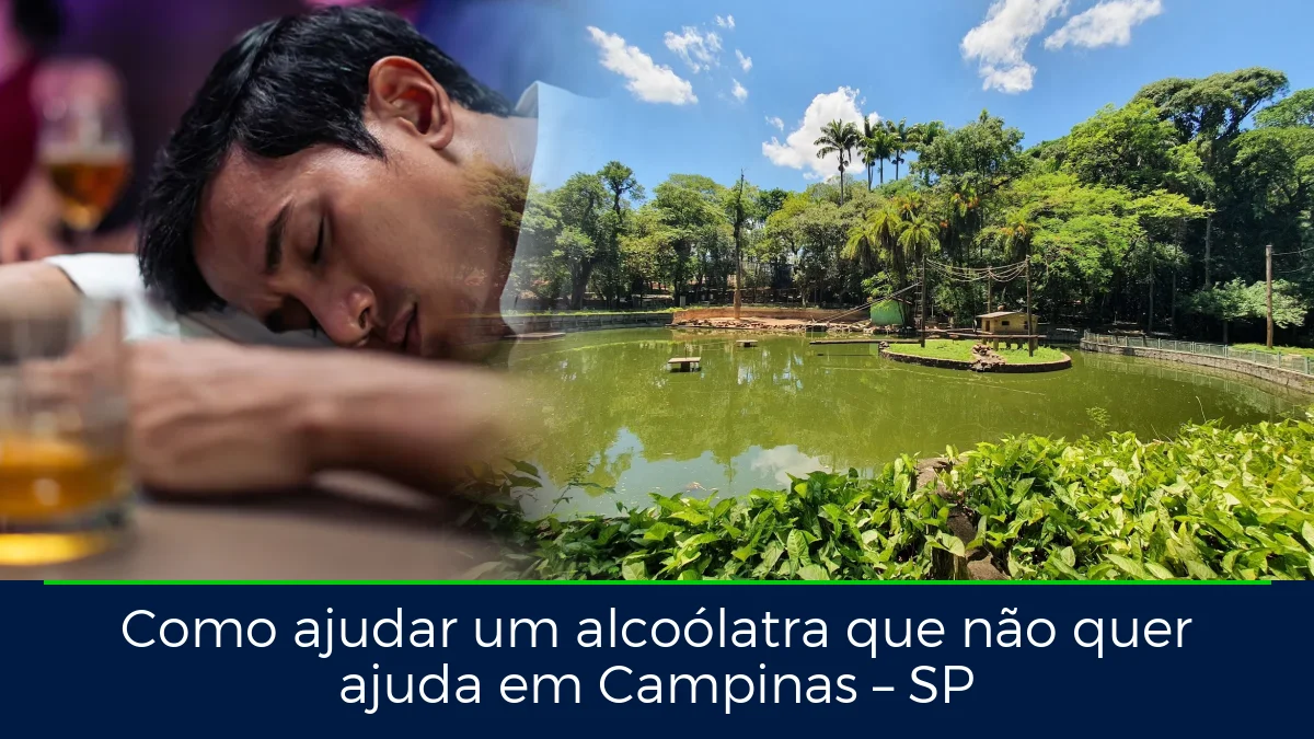 Montagem da imagem do artigo com Parque Bosque dos Jequitibás, em Campinas – SP