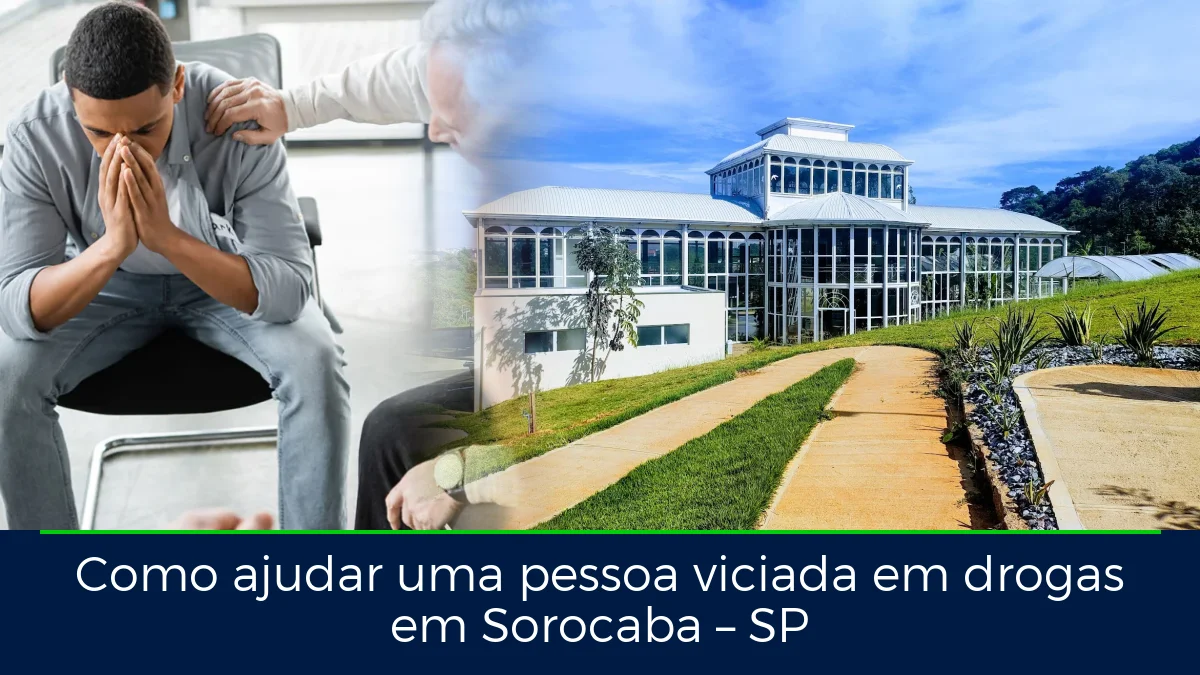 Montagem da imagem do artigo com Jardim Botânico de Sorocaba Irmãos Villas-Bôas, em Sorocaba – SP