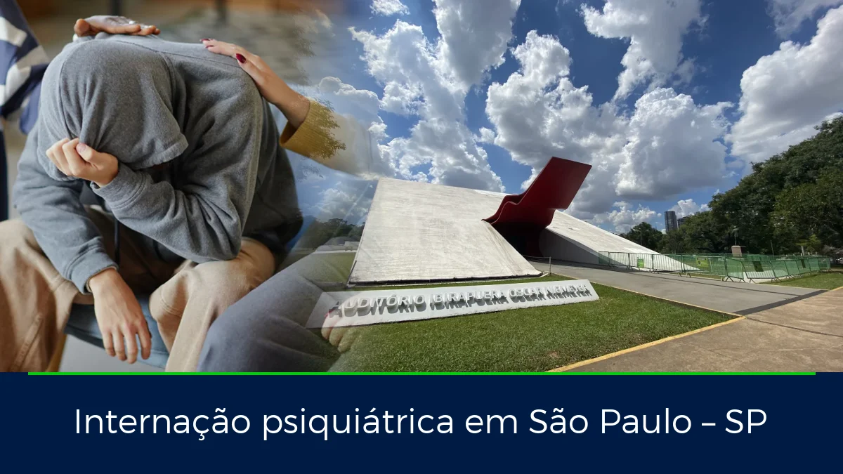 Montagem da imagem do artigo com Parque Ibirapuera, em São Paulo – SP