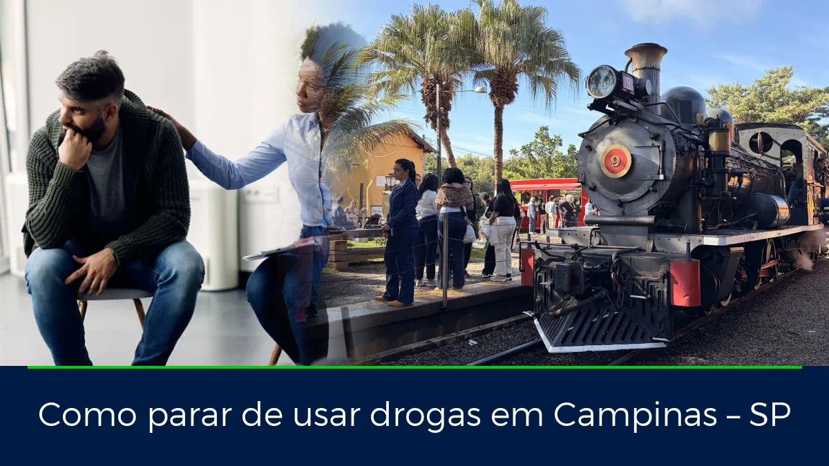 Montagem da imagem do artigo com Passeio de trem - Maria Fumaça Campinas, em Campinas – SP