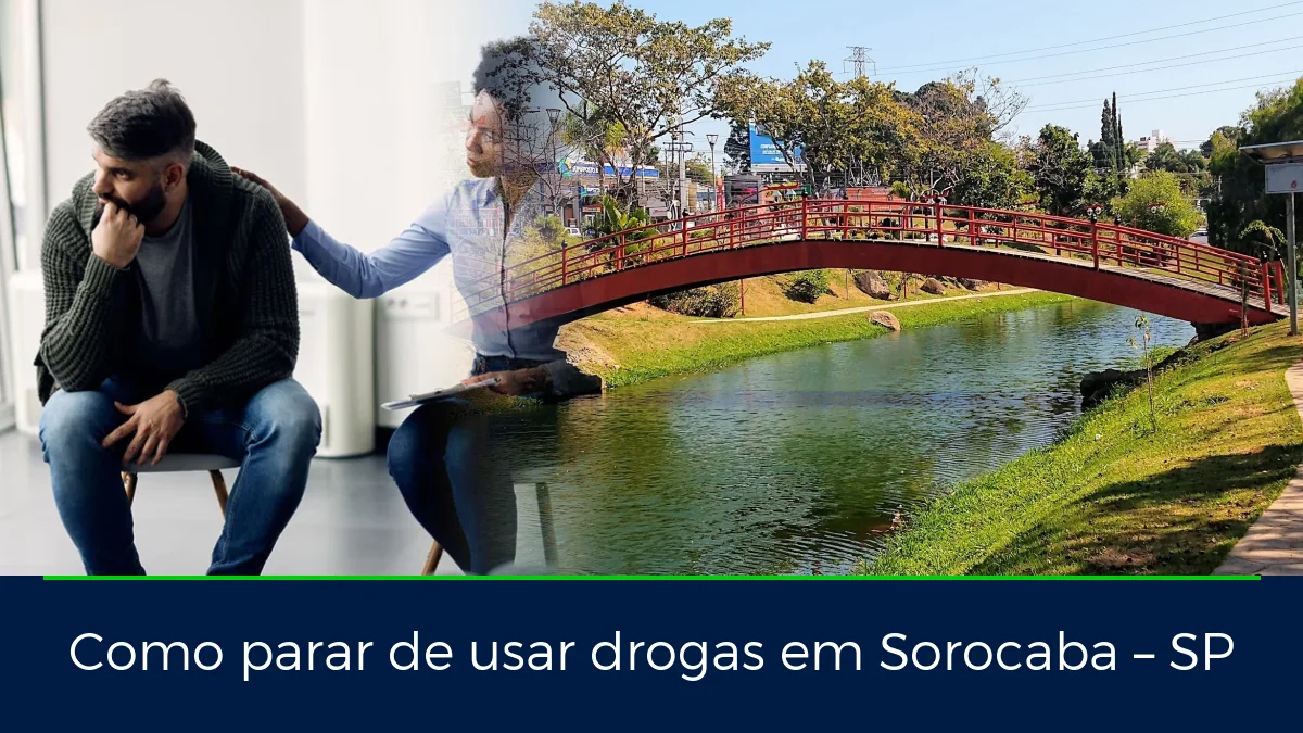 Montagem da imagem do artigo com Parque Kasato Maru, em Sorocaba – SP