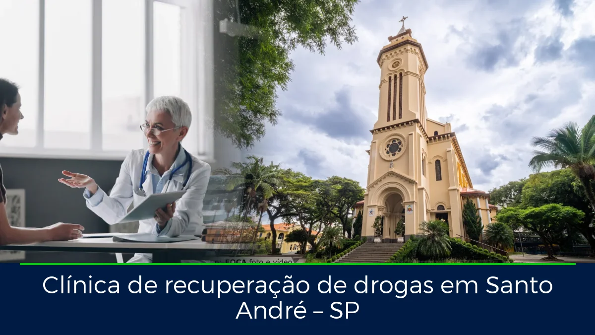 Montagem da imagem do artigo com Catedral de Nossa Senhora do Carmo, em Santo André – SP