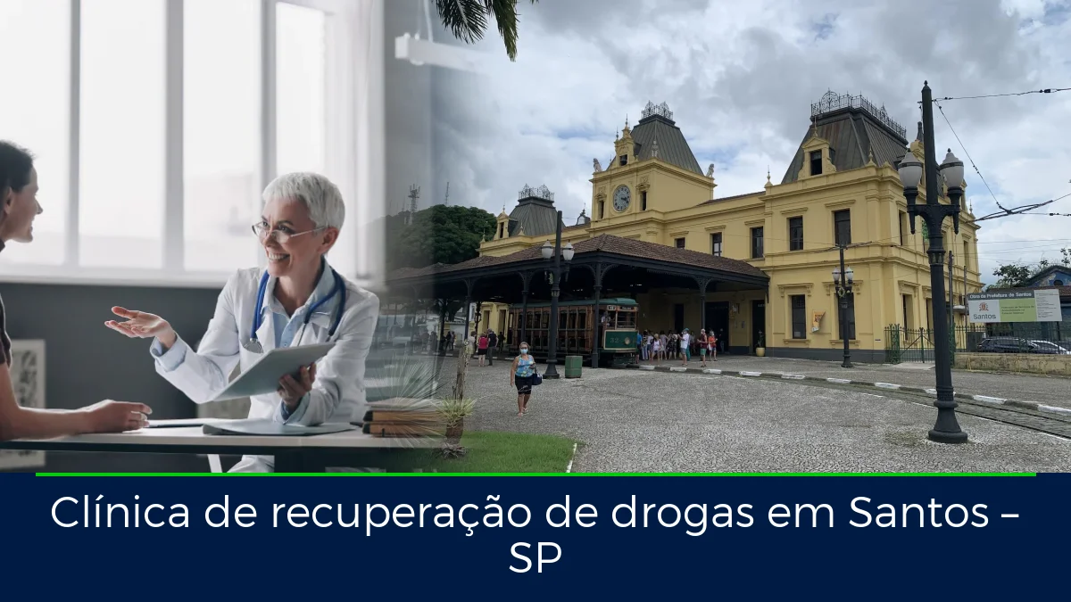Montagem da imagem do artigo com Santos, em Santos – SP