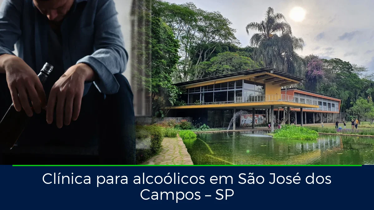 Montagem da imagem do artigo com São José dos Campos, em São José dos Campos – SP