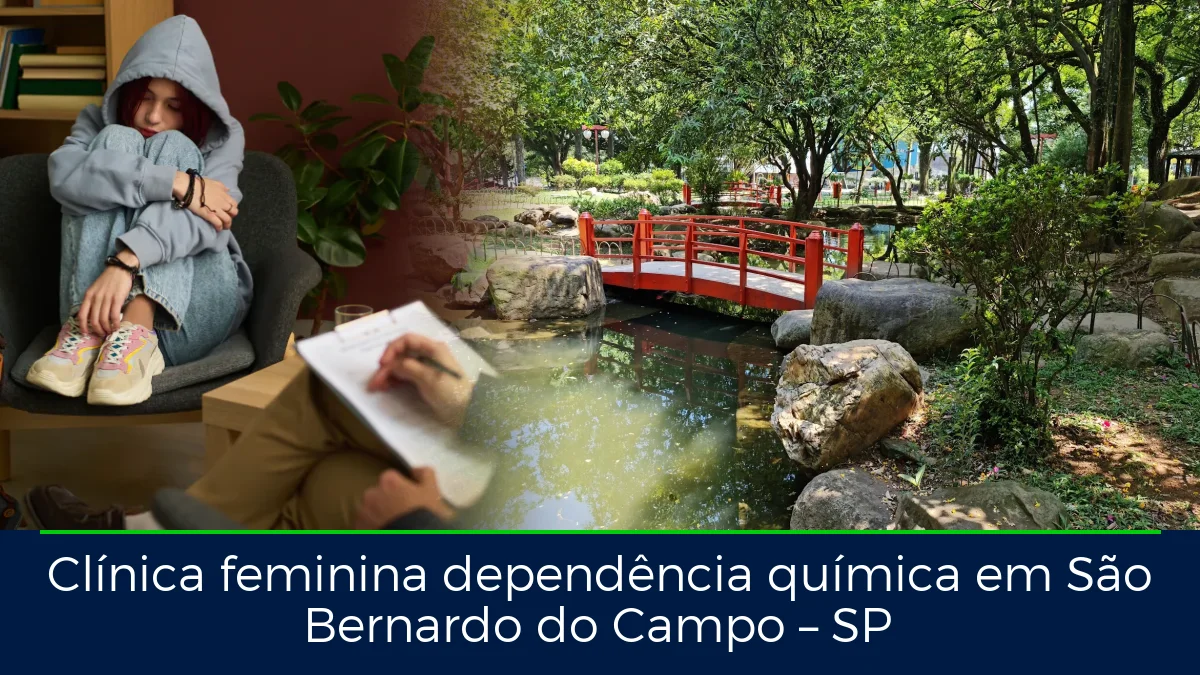 Montagem da imagem do artigo com Praça dos Meninos, em São Bernardo do Campo – SP
