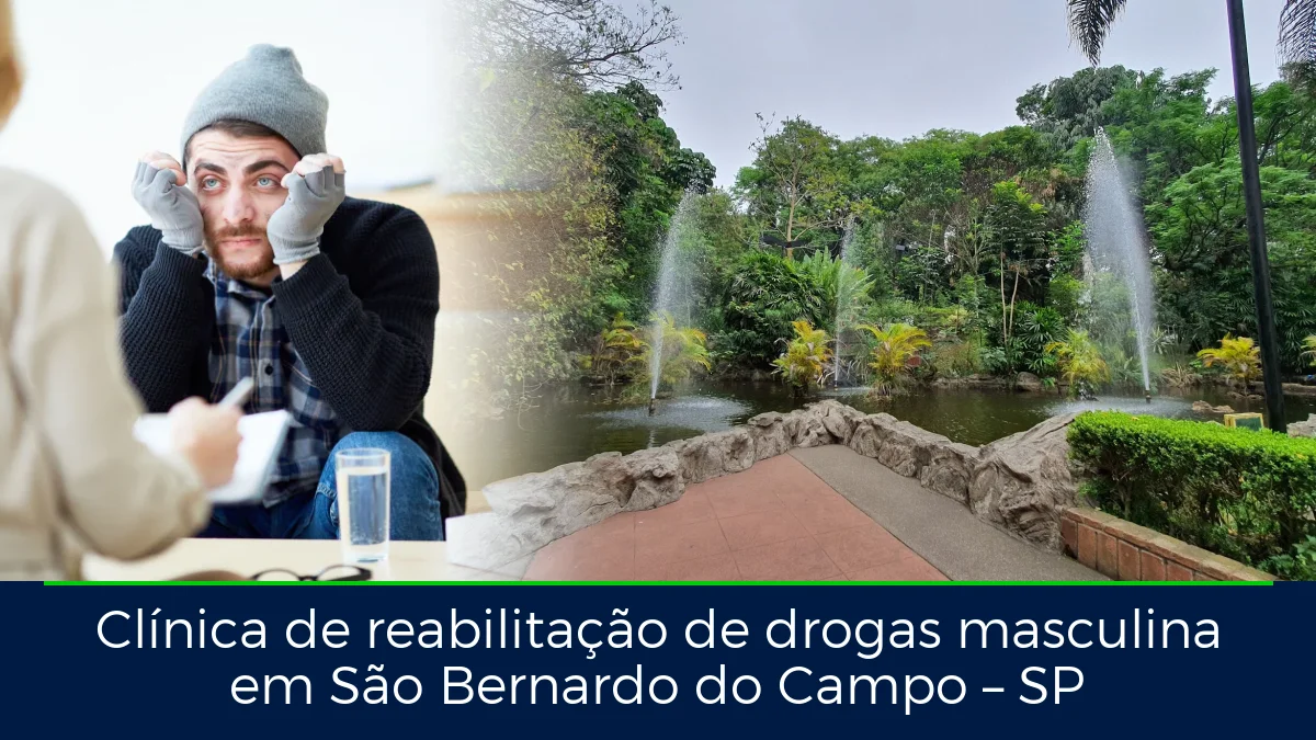 Montagem da imagem do artigo com Parque Raphael Lazzuri - São Bernardo do Campo, em São Bernardo do Campo – SP