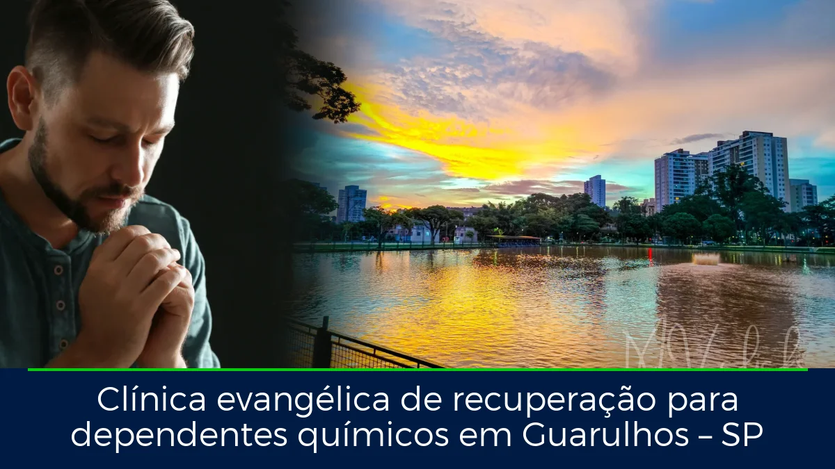 Montagem da imagem do artigo com Lago dos Patos, em Guarulhos – SP