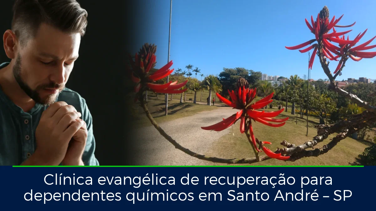 Montagem da imagem do artigo com Parque Central - Santo André, em Santo André – SP