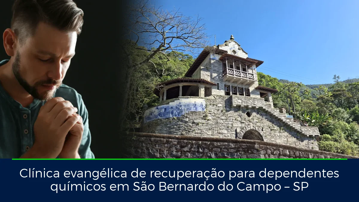 Montagem da imagem do artigo com Parque Caminhos do Mar, em São Bernardo do Campo – SP