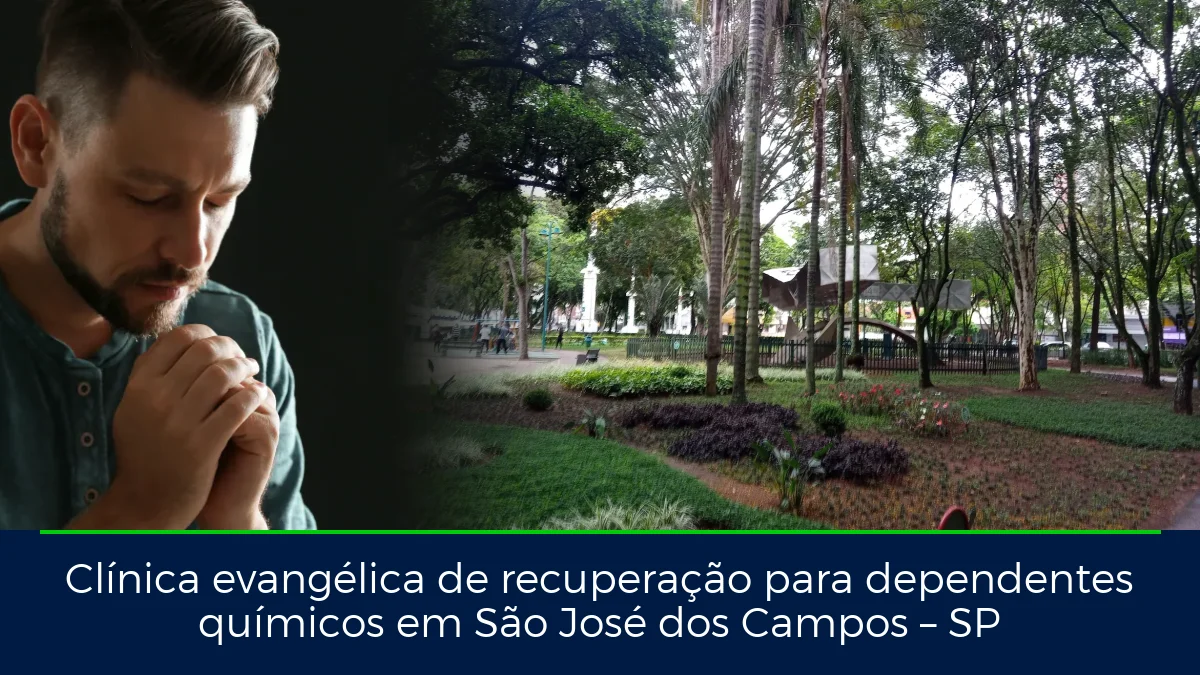 Montagem da imagem do artigo com Parque Santos Dumont, em São José dos Campos – SP