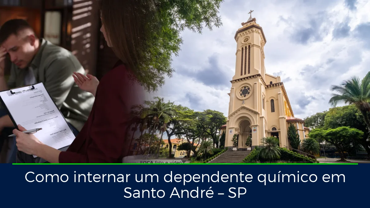 Montagem da imagem do artigo com Catedral de Nossa Senhora do Carmo, em Santo André – SP