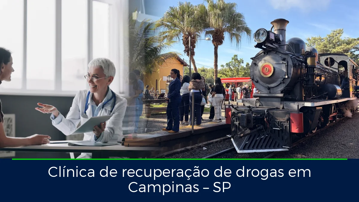 Montagem da imagem do artigo com Passeio de trem - Maria Fumaça Campinas, em Campinas – SP