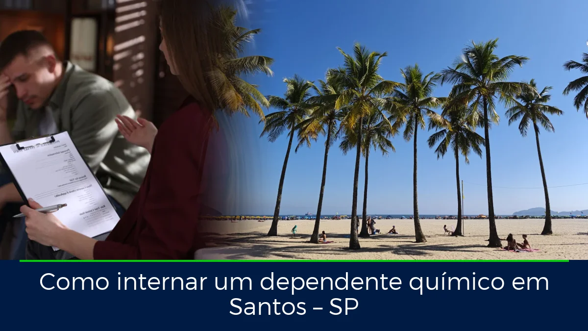 Montagem da imagem do artigo com Orla e Jardins da Praia de Santos, em Santos – SP