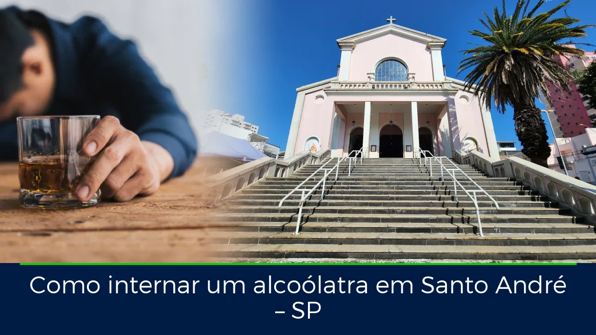 Montagem da imagem do artigo com Paróquia Matriz de Santo André, em Santo André – SP