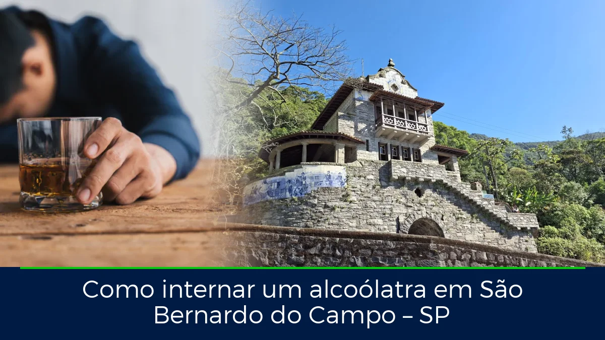 Montagem da imagem do artigo com Parque Caminhos do Mar, em São Bernardo do Campo – SP