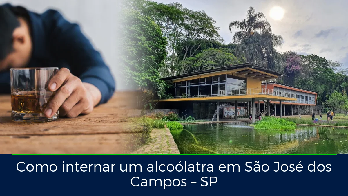 Montagem da imagem do artigo com São José dos Campos, em São José dos Campos – SP