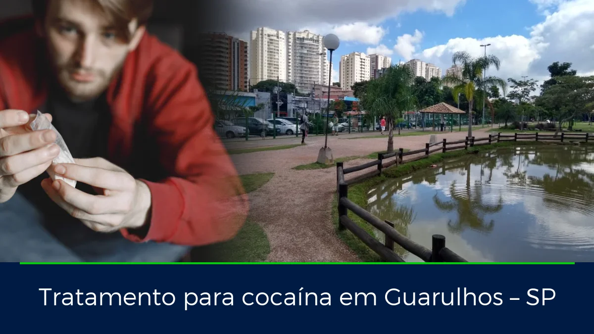 Montagem da imagem do artigo com Guarulhos, em Guarulhos – SP