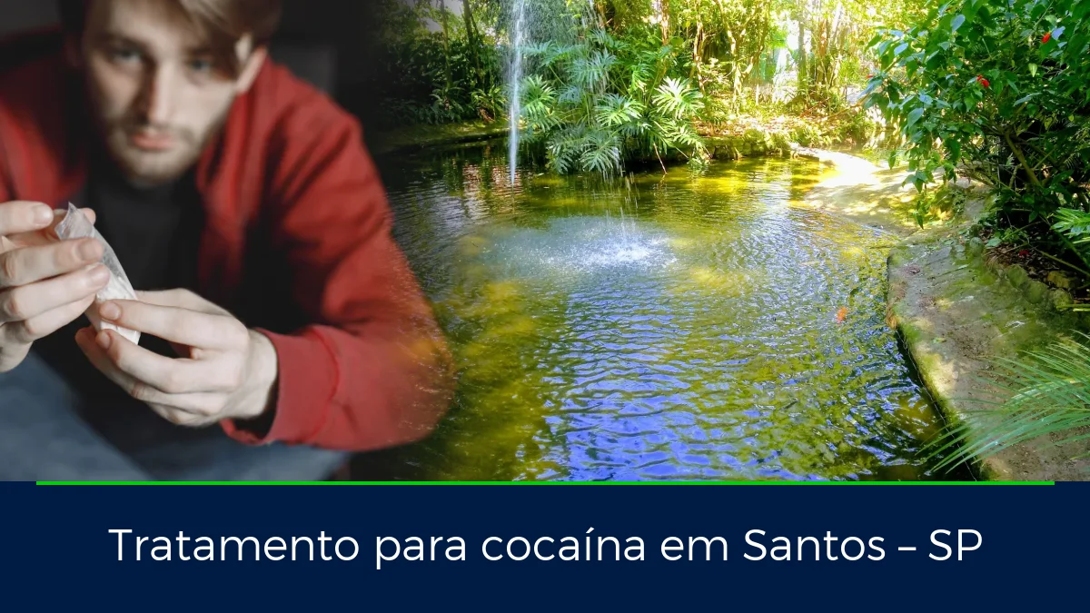 Montagem da imagem do artigo com Orquidário Municipal de Santos, em Santos – SP