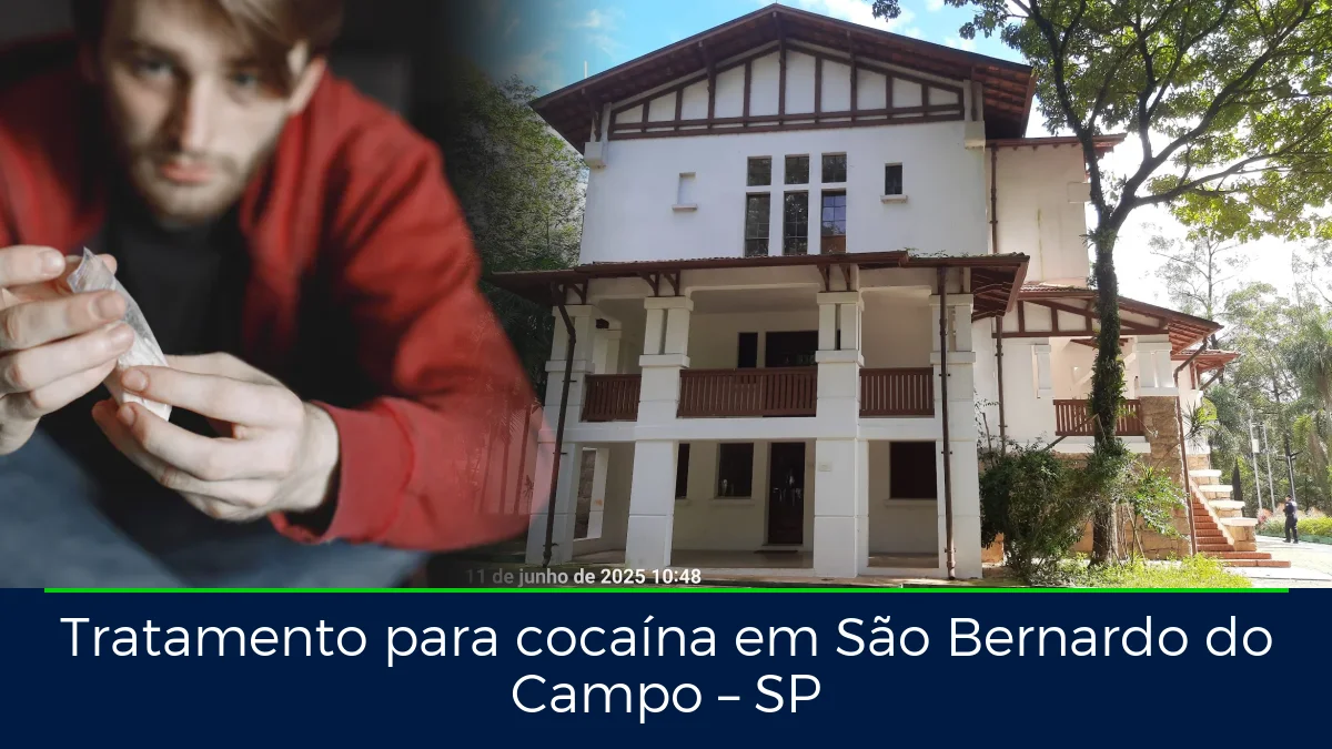 Montagem da imagem do artigo com Parque Chácara Silvestre - São Bernardo do Campo, em São Bernardo do Campo – SP