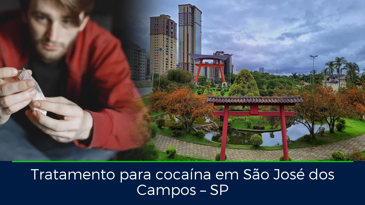 Montagem da imagem do artigo com Monumento Colonia Japonesa Jardim Aquarius, em São José dos Campos – SP