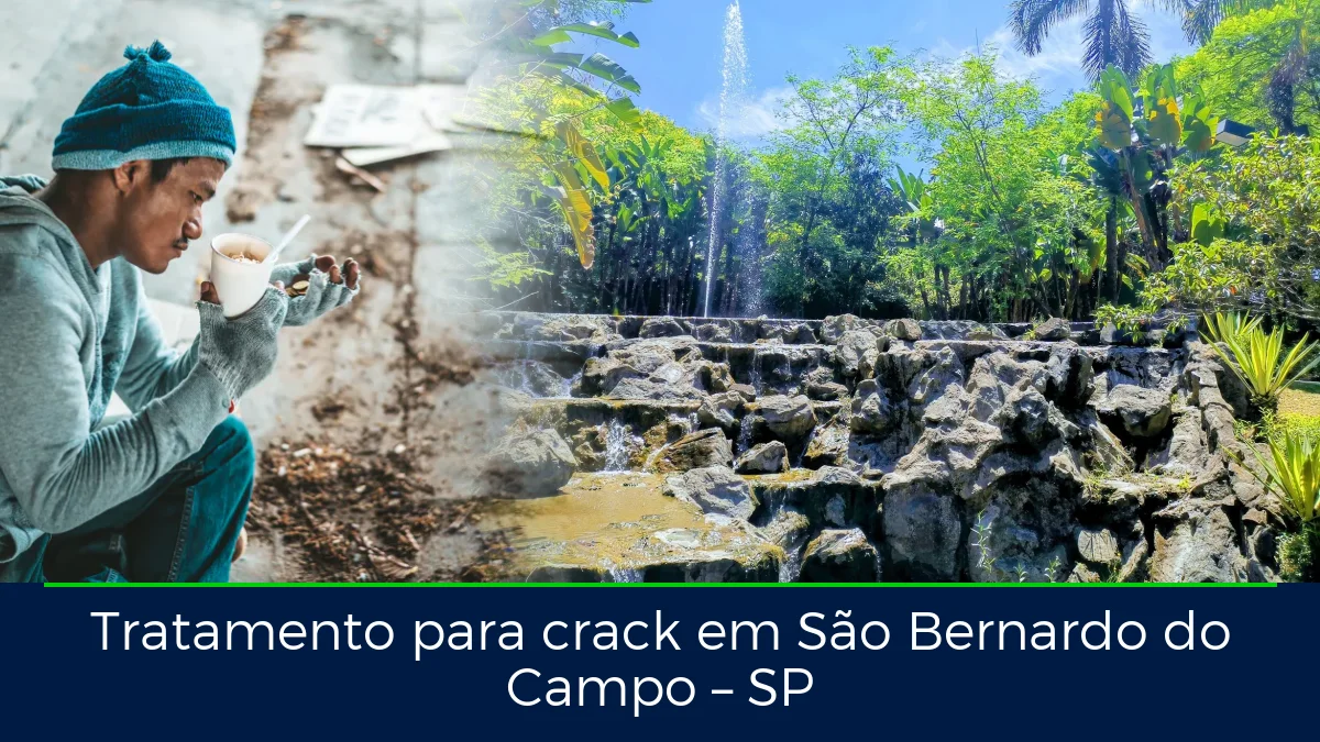 Montagem da imagem do artigo com Parque Raphael Lazzuri - São Bernardo do Campo, em São Bernardo do Campo – SP