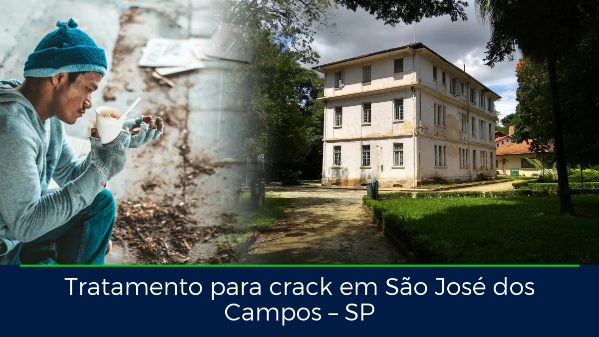 Montagem da imagem do artigo com Parque Vicentina Aranha, em São José dos Campos – SP