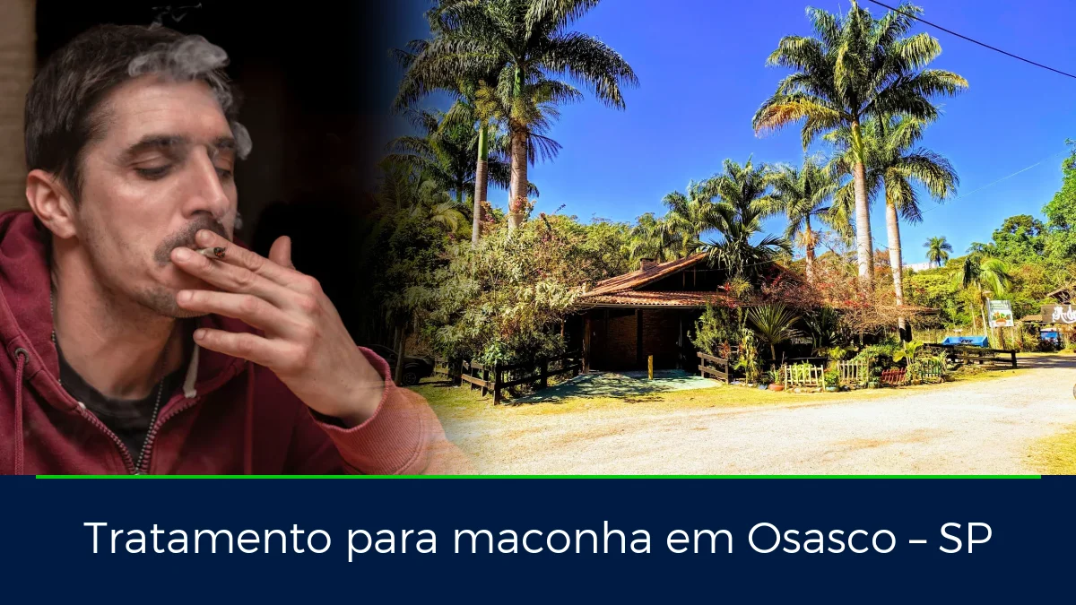 Montagem da imagem do artigo com Parque Chico Mendes, em Osasco – SP