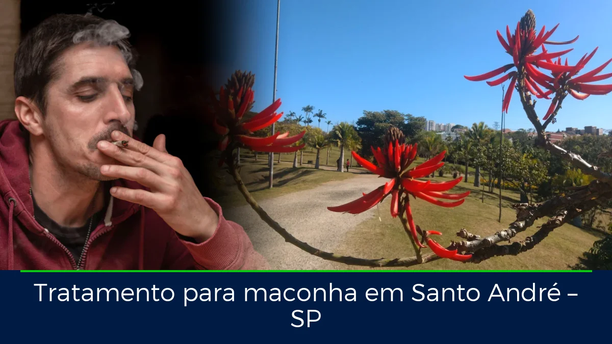 Montagem da imagem do artigo com Parque Central - Santo André, em Santo André – SP