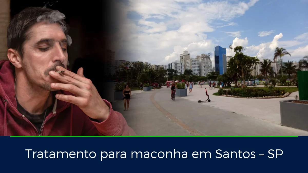 Montagem da imagem do artigo com Parque Municipal Roberto Mário Santini, em Santos – SP