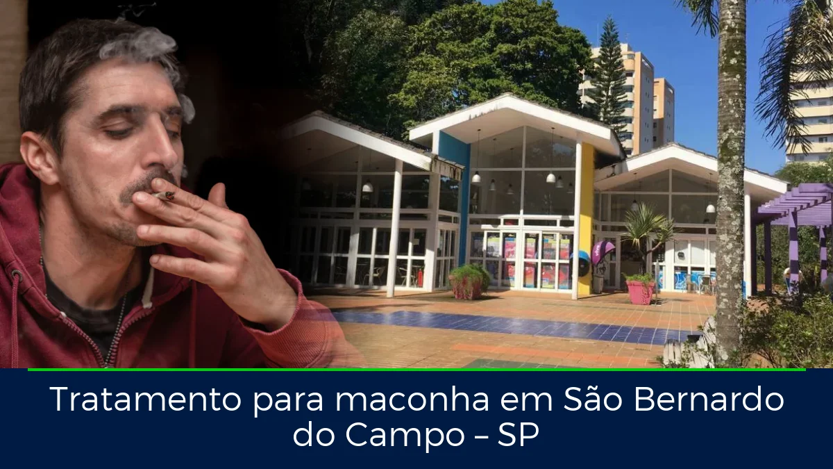 Montagem da imagem do artigo com Parque Raphael Lazzuri - São Bernardo do Campo, em São Bernardo do Campo – SP