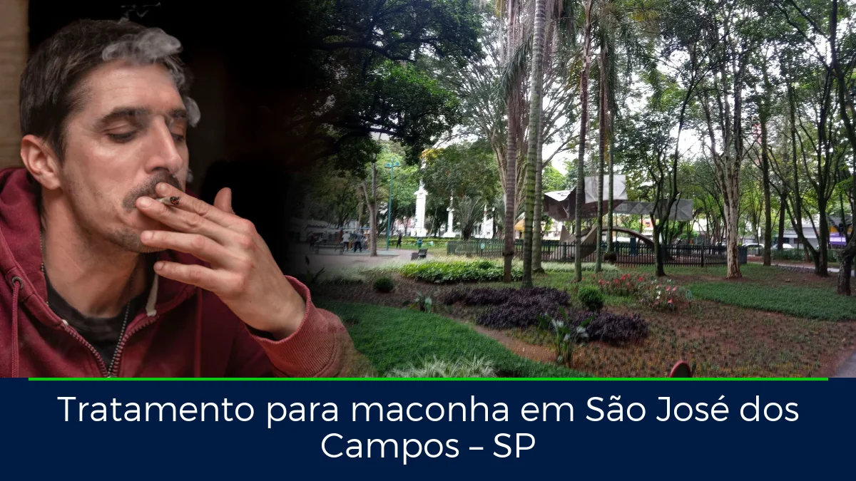 Montagem da imagem do artigo com Parque Santos Dumont, em São José dos Campos – SP