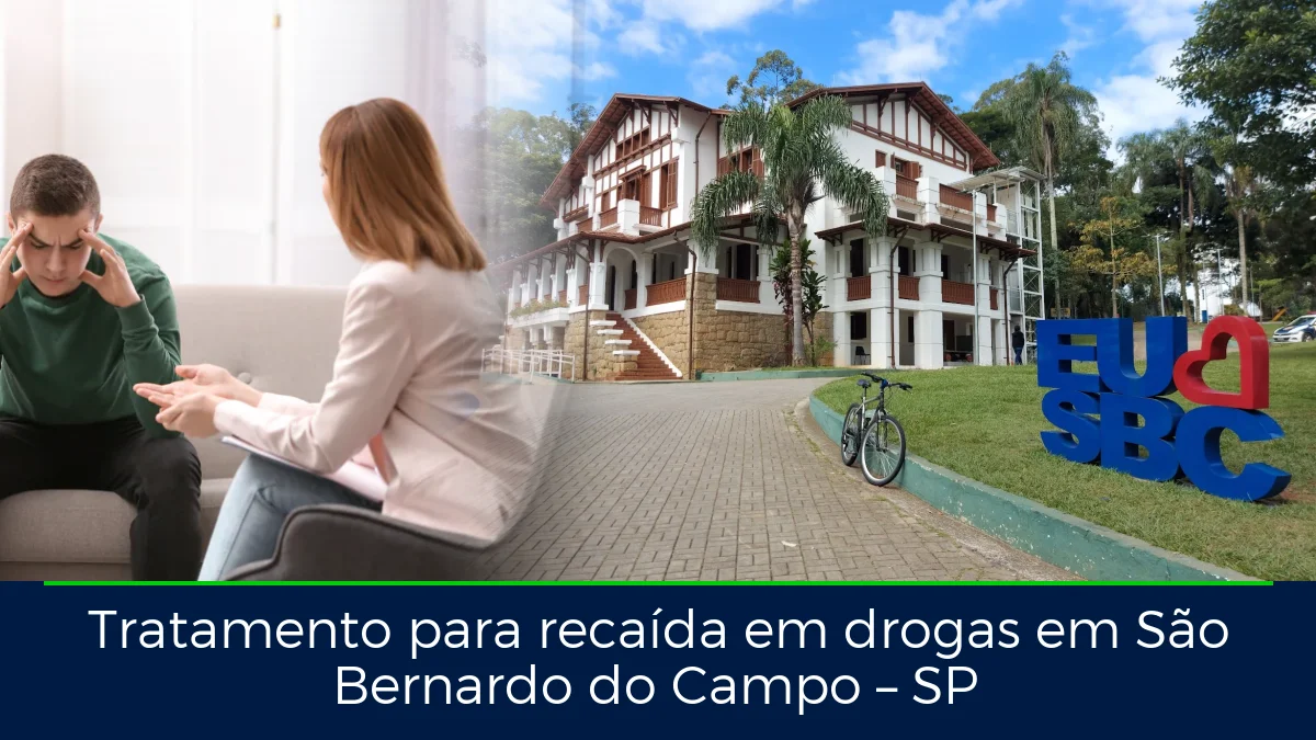 Montagem da imagem do artigo com Parque Chácara Silvestre - São Bernardo do Campo, em São Bernardo do Campo – SP