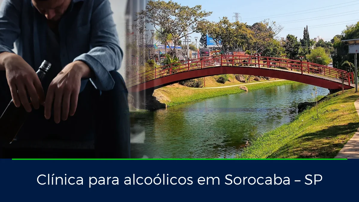 Montagem da imagem do artigo com Parque Kasato Maru, em Sorocaba – SP