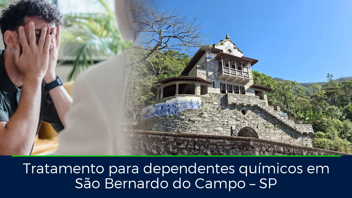 Montagem da imagem do artigo com Parque Caminhos do Mar, em São Bernardo do Campo – SP
