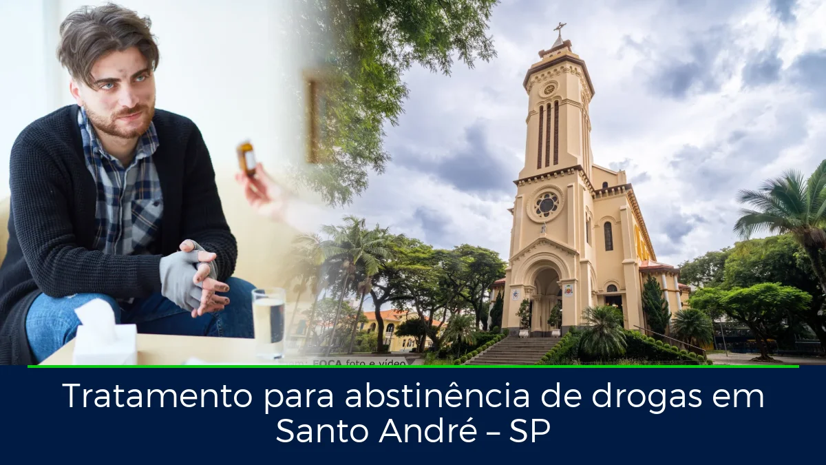 Montagem da imagem do artigo com Catedral de Nossa Senhora do Carmo, em Santo André – SP
