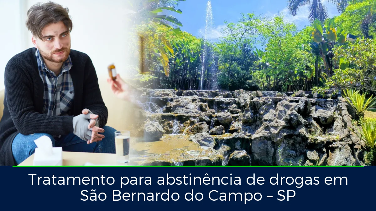 Montagem da imagem do artigo com Parque Raphael Lazzuri - São Bernardo do Campo, em São Bernardo do Campo – SP