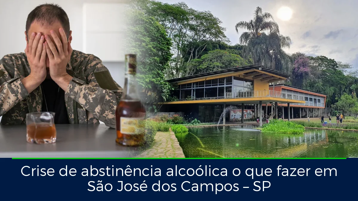 Montagem da imagem do artigo com São José dos Campos, em São José dos Campos – SP