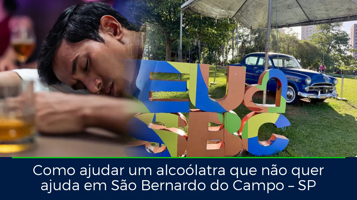 Montagem da imagem do artigo com Parque Chácara Silvestre - São Bernardo do Campo, em São Bernardo do Campo – SP