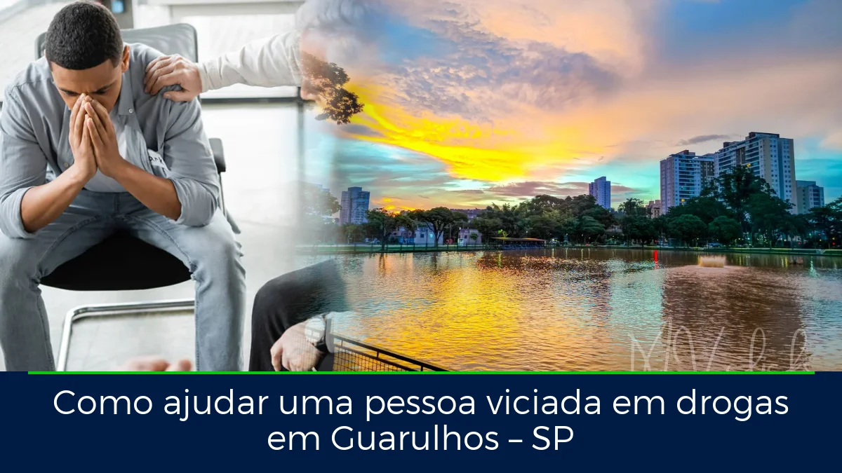 Montagem da imagem do artigo com Lago dos Patos, em Guarulhos – SP