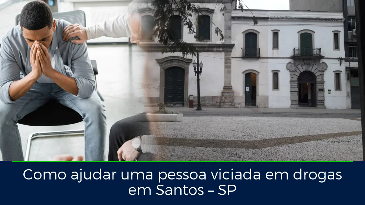 Montagem da imagem do artigo com Pantheon dos Andradas, em Santos – SP