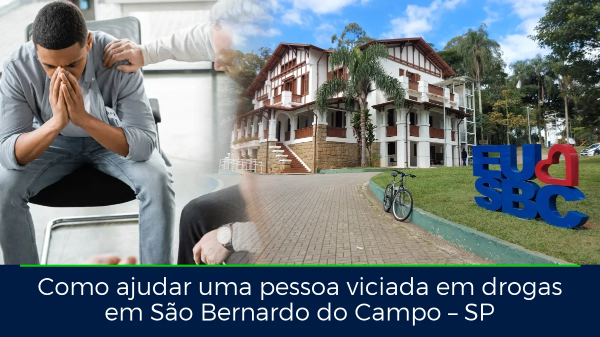 Montagem da imagem do artigo com Parque Chácara Silvestre - São Bernardo do Campo, em São Bernardo do Campo – SP