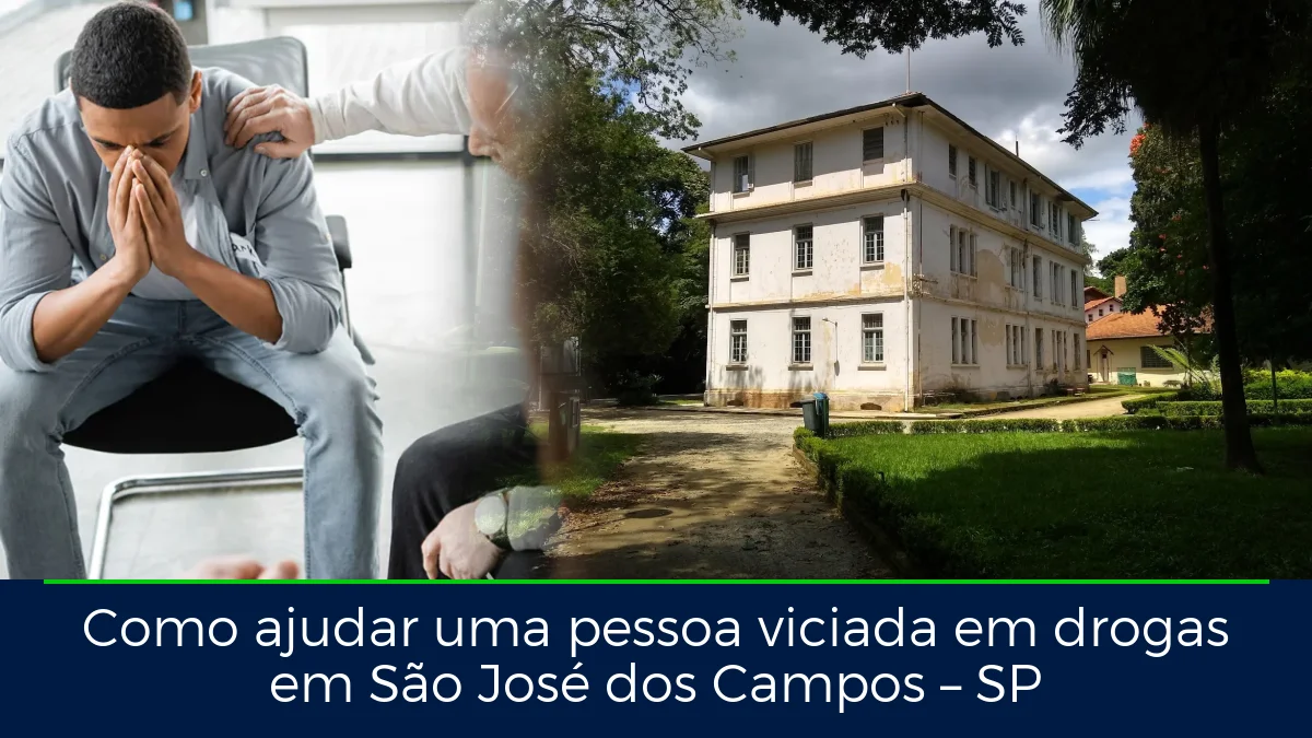 Montagem da imagem do artigo com Parque Vicentina Aranha, em São José dos Campos – SP