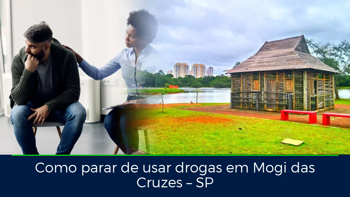 Montagem da imagem do artigo com Parque Centenário da Imigração Japonesa, em Mogi das Cruzes – SP