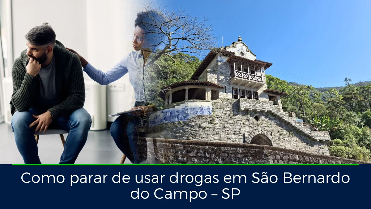 Montagem da imagem do artigo com Parque Caminhos do Mar, em São Bernardo do Campo – SP