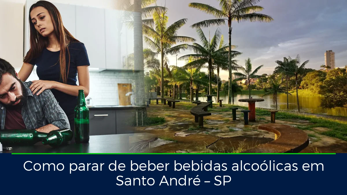 Montagem da imagem do artigo com Parque Central - Santo André, em Santo André – SP